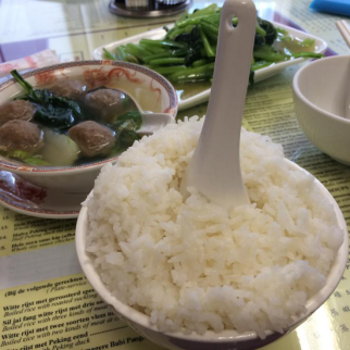 一個女漢子的留學(xué)畢業(yè)旅行之荷蘭阿姆斯特丹和鹿特丹-東莞英凱教育